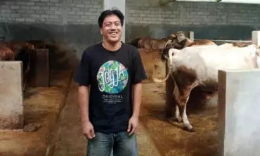 Faisal, Milenial yang Tekuni Ternak Sapi, Omzet Bisa Rp 70 Juta Sehari