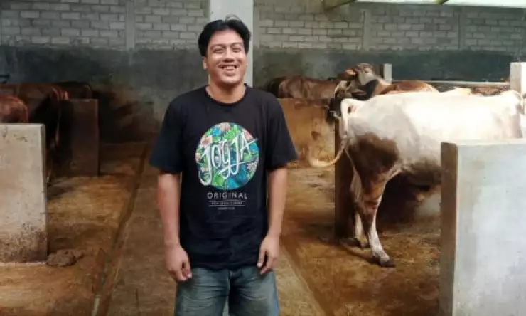 Faisal, Milenial yang Tekuni Ternak Sapi, Omzet Bisa Rp 70 Juta Sehari