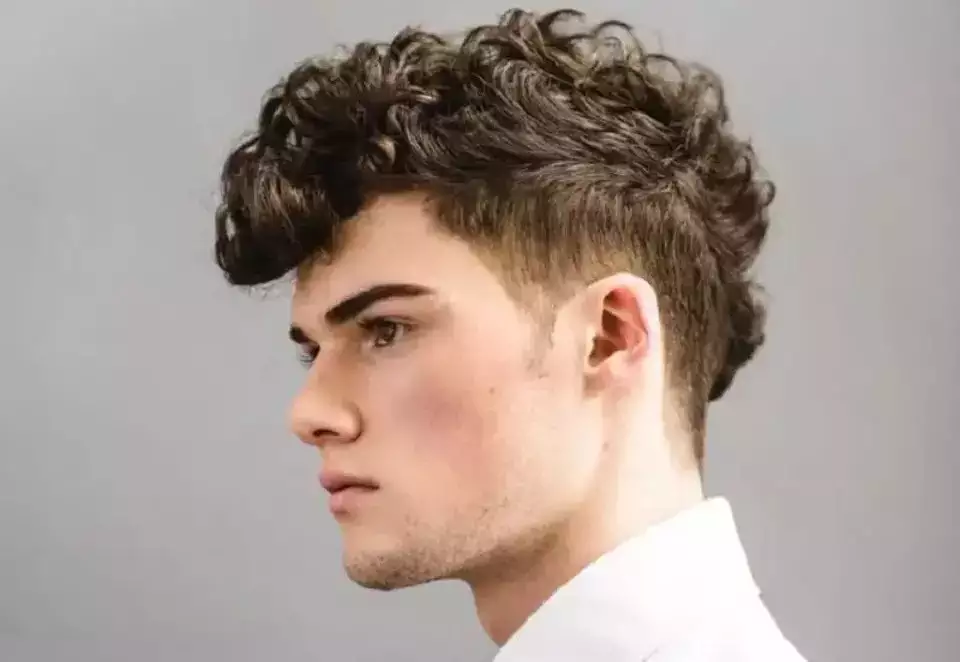 curly-pompadour