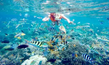 Wisata Bawah Air Terfavorit di Dunia, Salah Satunya Ada di Indonesia