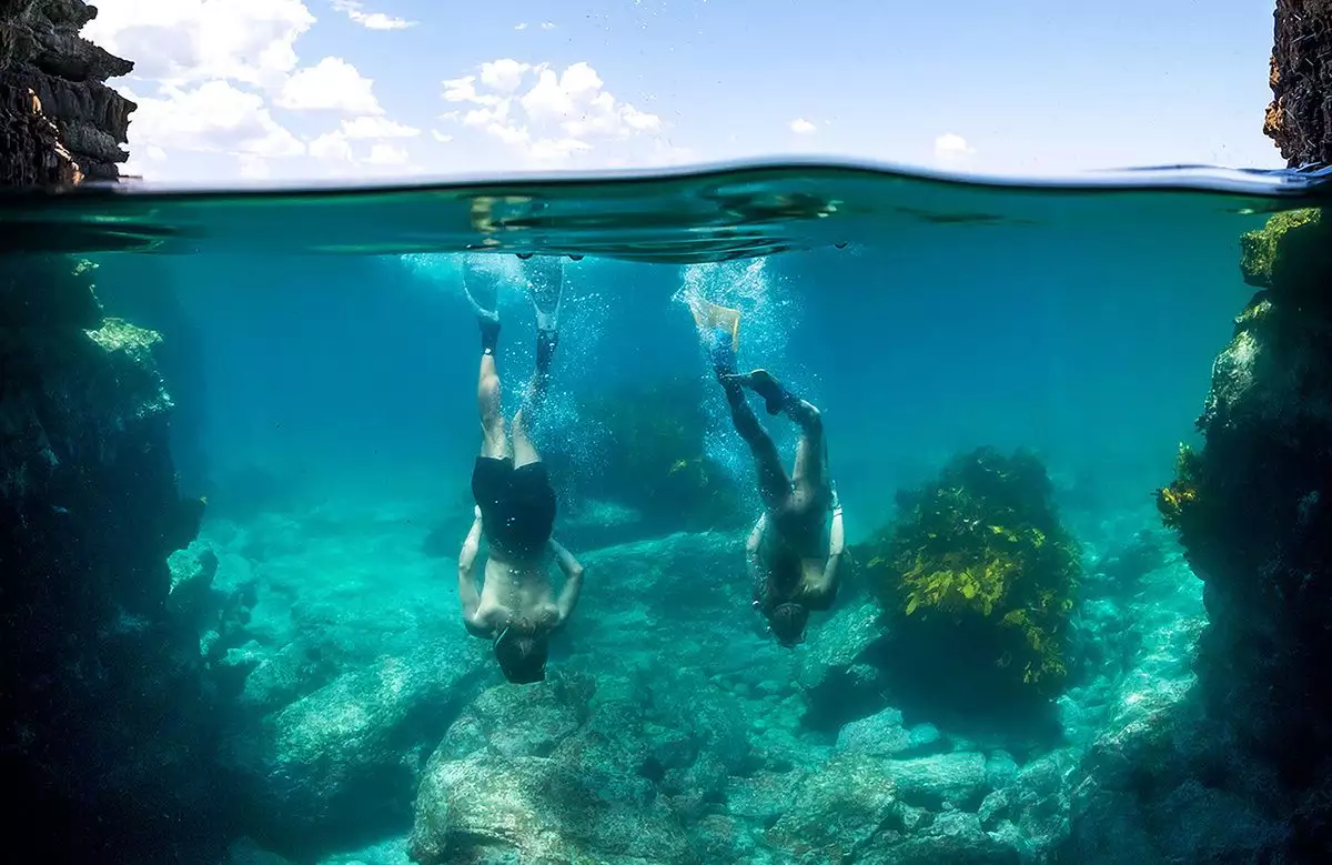 Ilustrasi Free diving