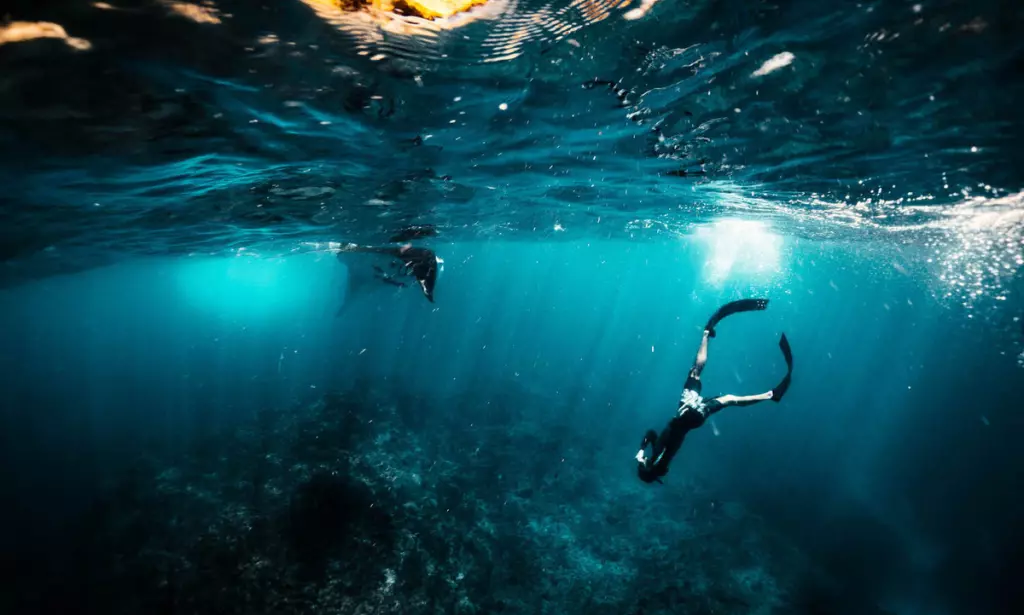 Menikmati Keindahan Alam Bawah Air Lewat Olahraga Free Diving