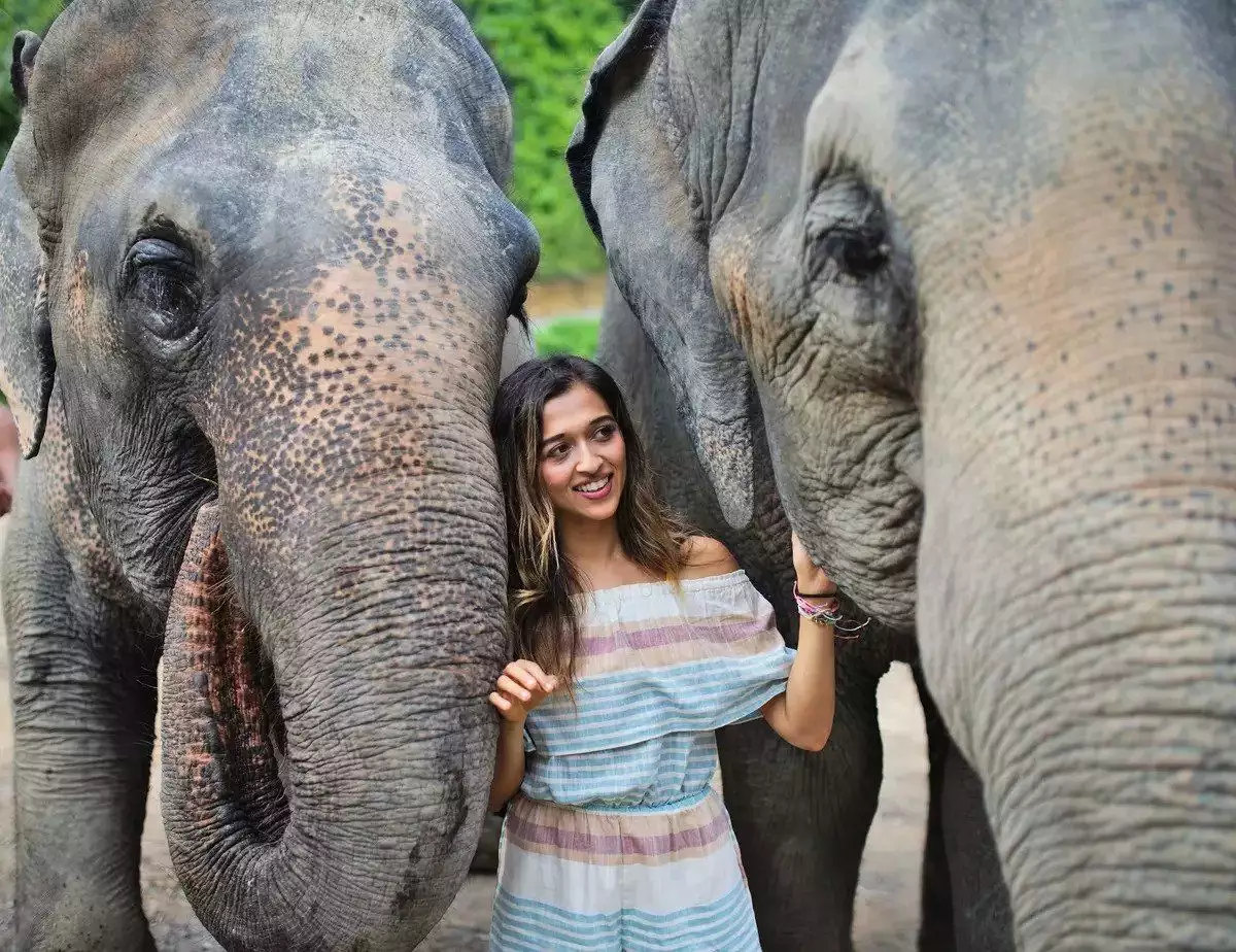 Elephant-Jungle-Sanctuary