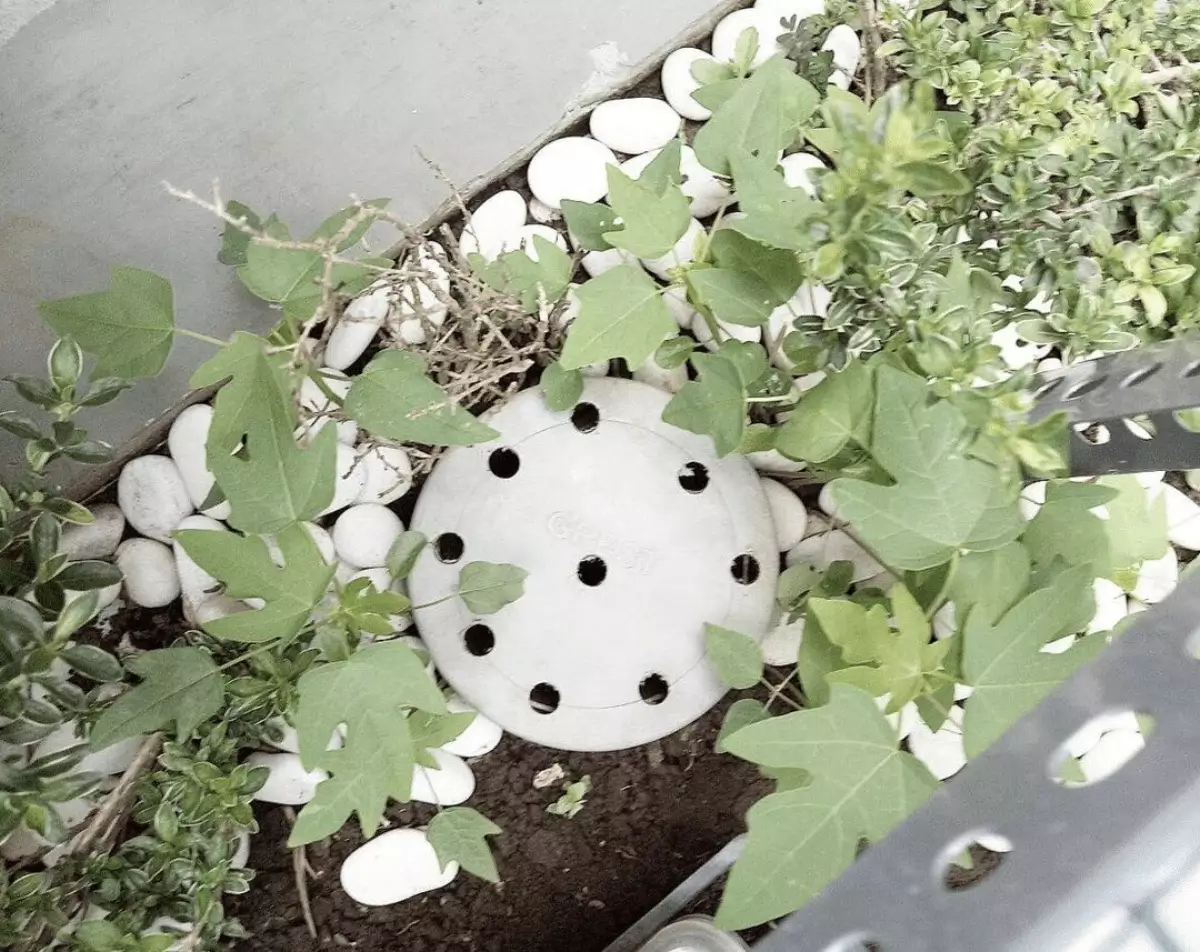 lubang-biopori-bisa-mencegah-genangan-air-di-sekitar-rumah