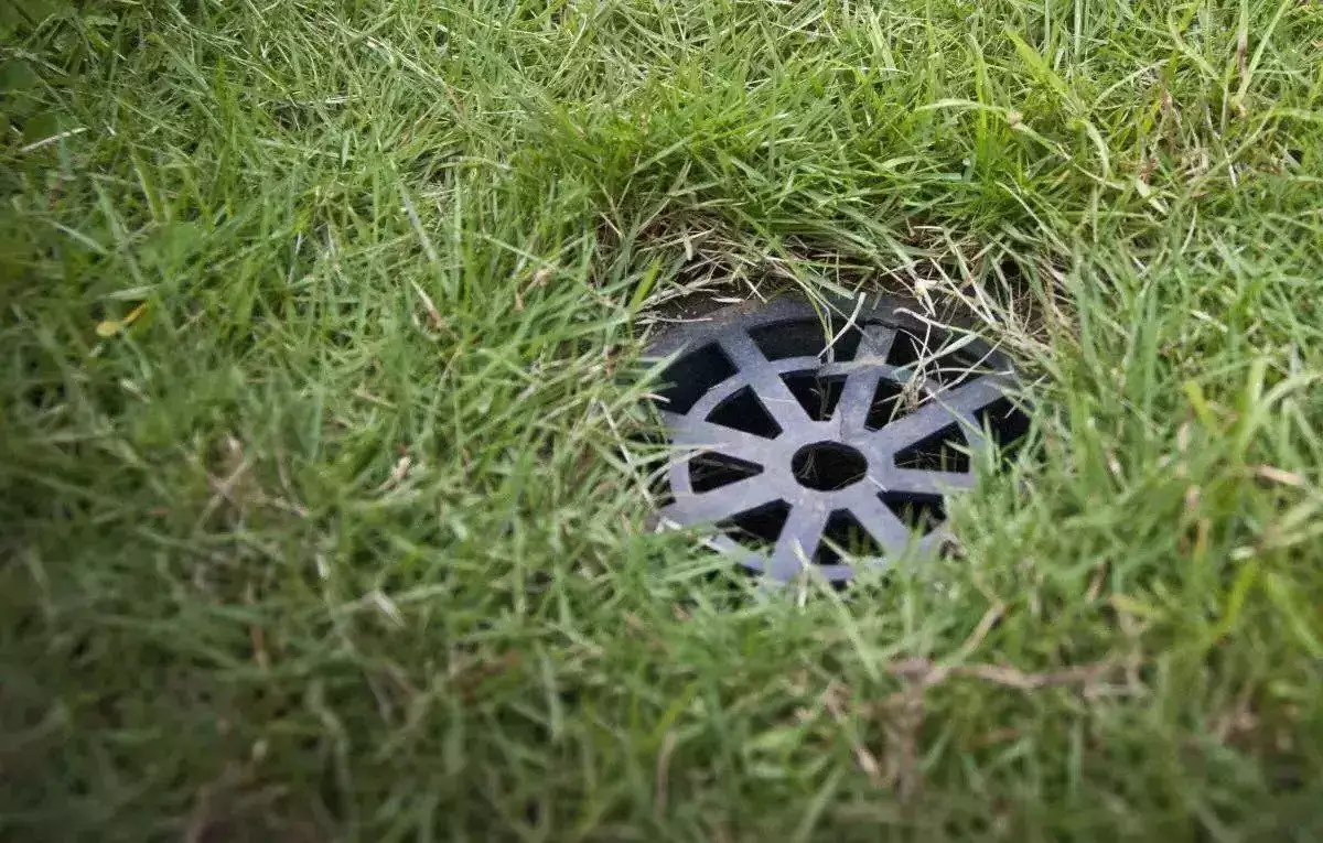 halaman-rumah-menjadi-lokasi-efektif-untuk-membuat-lubang-biopori