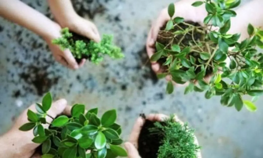 Mengubah Sampah Organik di Rumah dengan Lubang Biopori