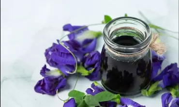Manfaat Bunga Telang atau Butterfly Pea untuk Kesehatan & Kecantikan