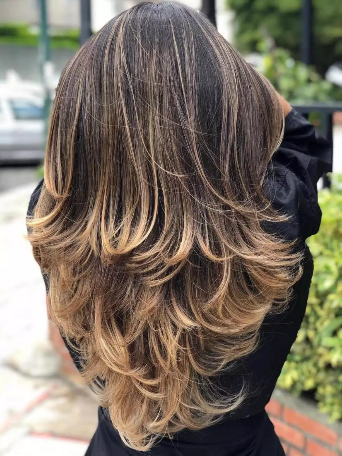 long-layer-highlight