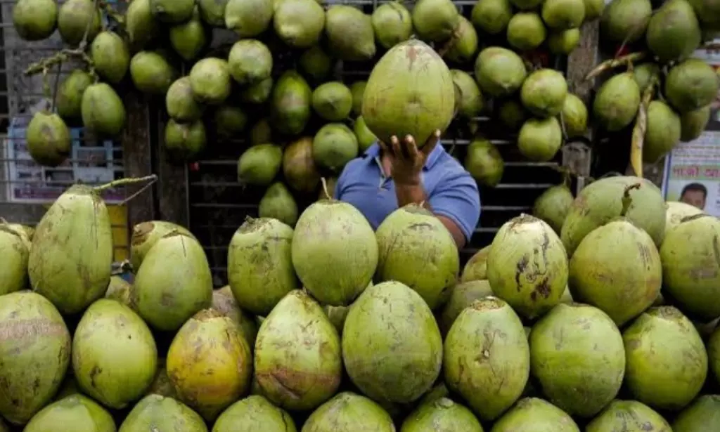 5 Minuman Pelangsing Ampuh Alami yang Mudah Didapat di Sekitar Kita