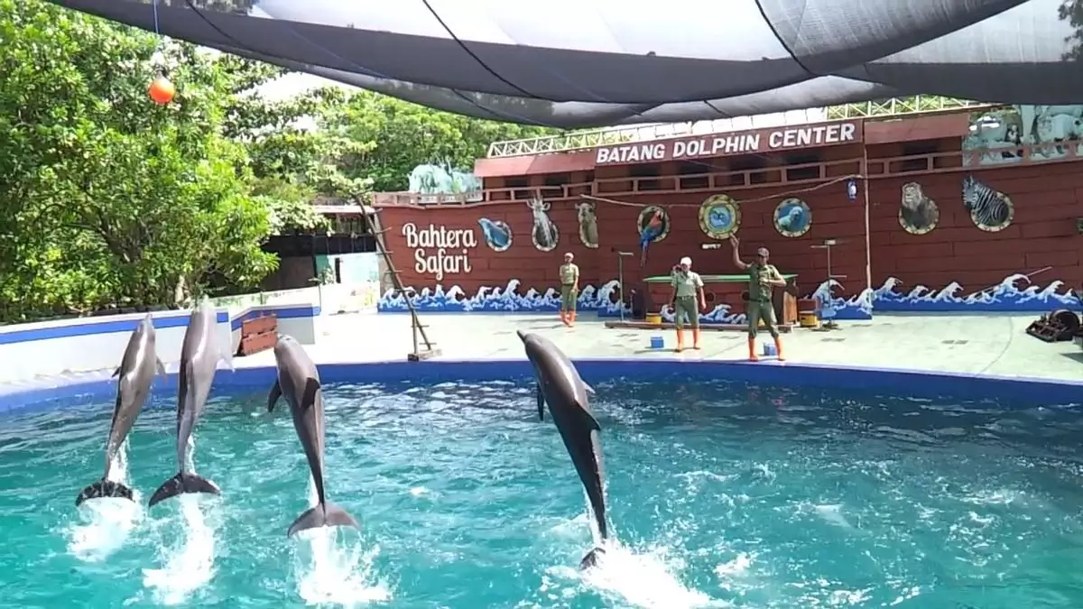 Batang Dolphin Center di Kabupaten Batang