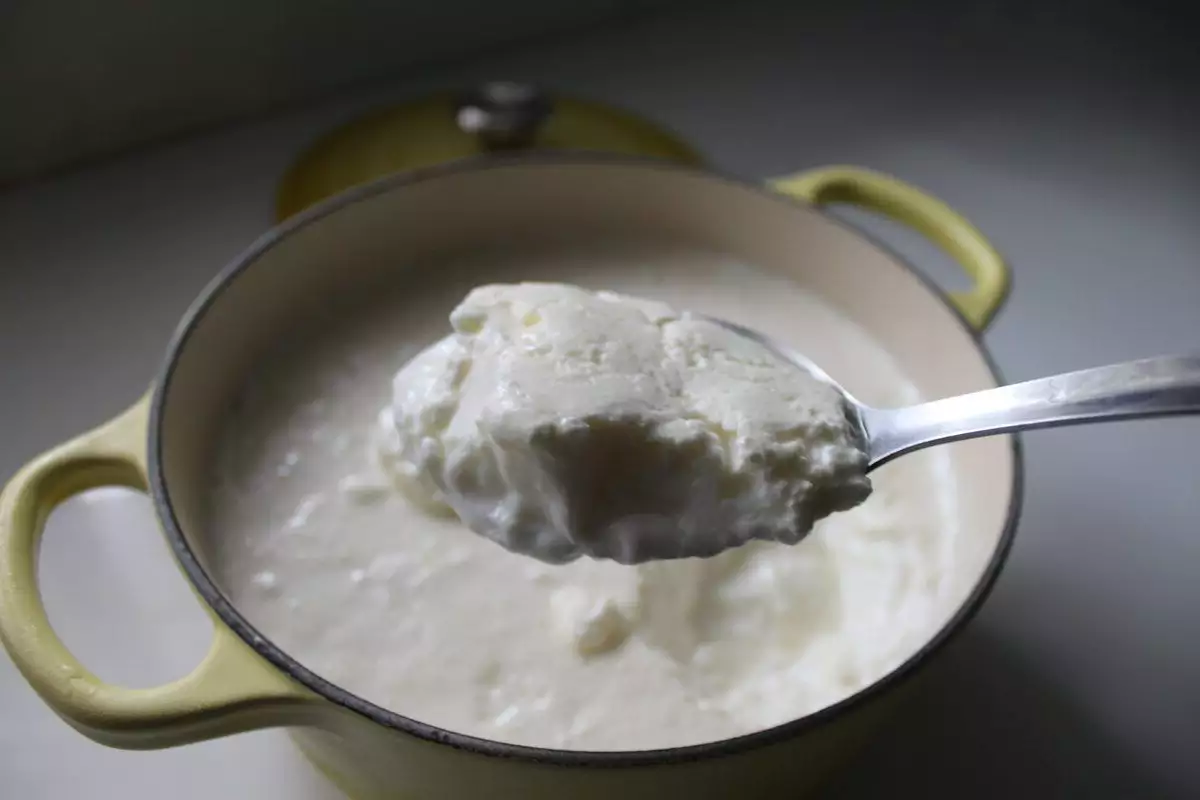 greek yoghurt sangat bermanfaat juga untuk kecantikan wanita