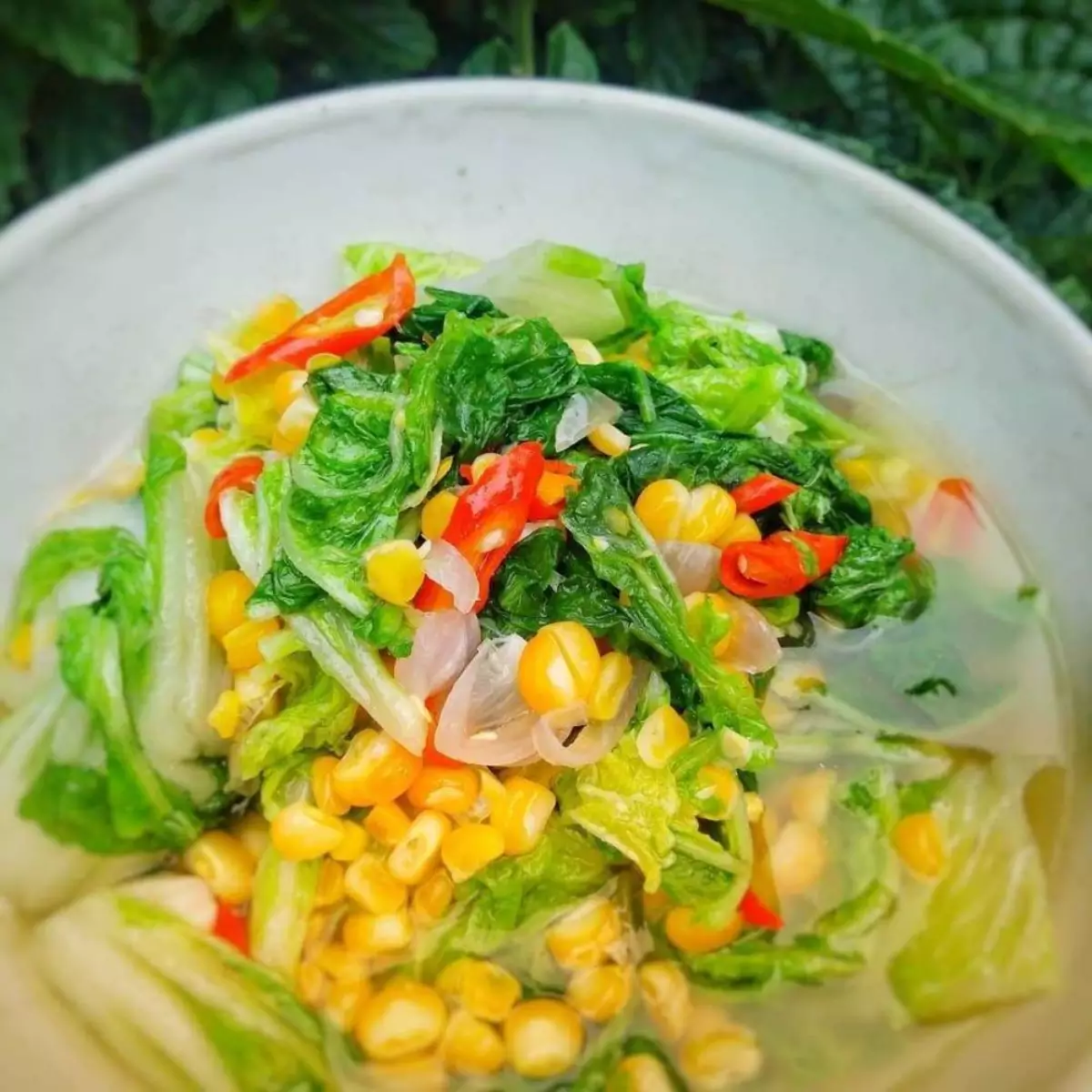 oseng-sawi-jagung.jpg.webp oseng-sawi-jagung.jpg.webp