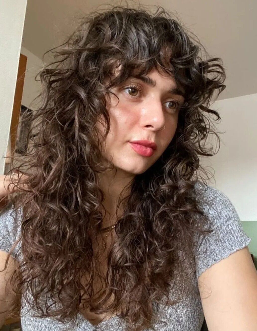 wolf-curly.jpg