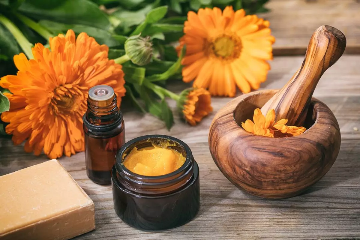 calendula.jpg.webp calendula.jpg.webp