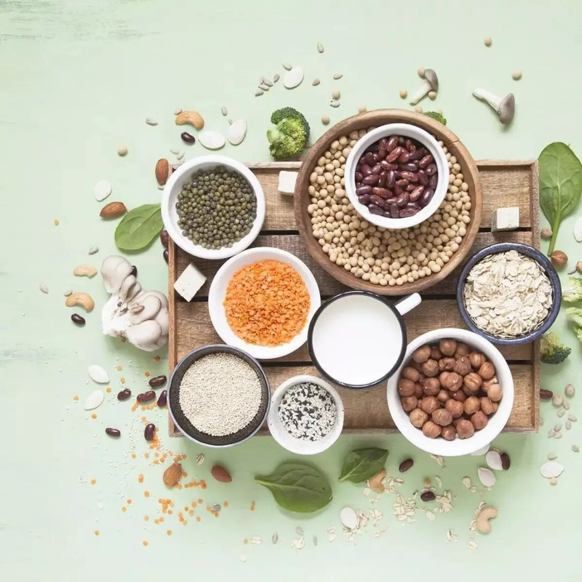 kacang.jpg.webp kacang.jpg.webp