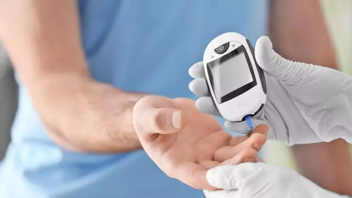 rumput laut bisa mencegah diabetes rumput laut bisa mencegah diabetes