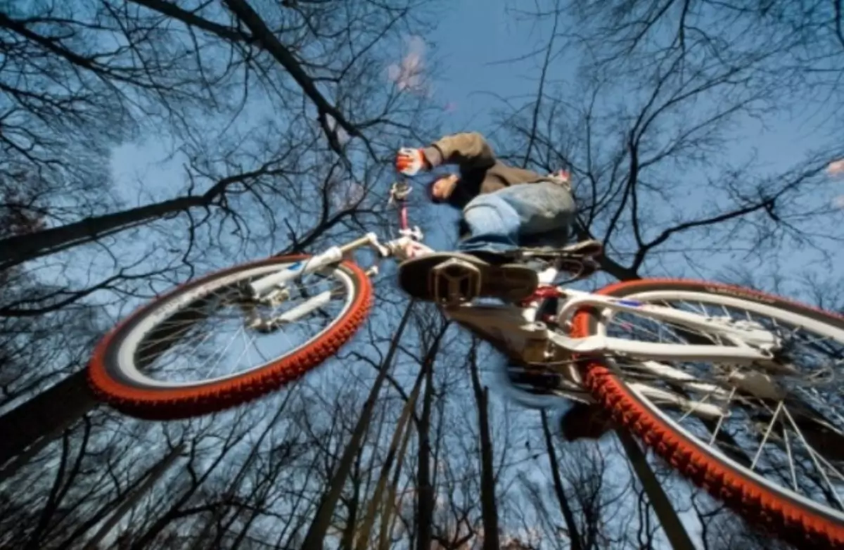 Frog's View Angle Frog's View Angle