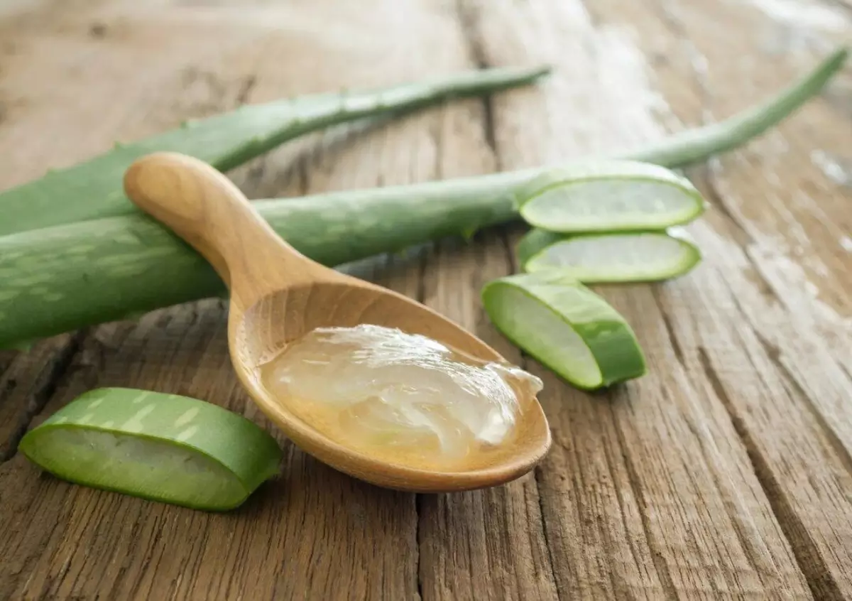 lidah-buaya-untuk-jerawat.jpg.webp lidah-buaya-untuk-jerawat.jpg.webp