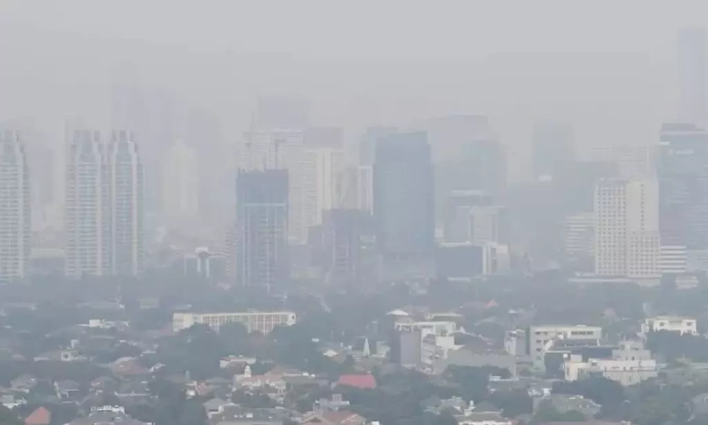 Begini Cara Menjaga Kesehatan di Tengah Kualitas Udara Buruk