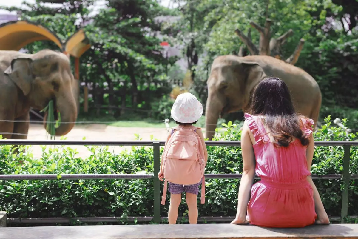 Cara Memilih Tempat Wisata Aman untuk Balita