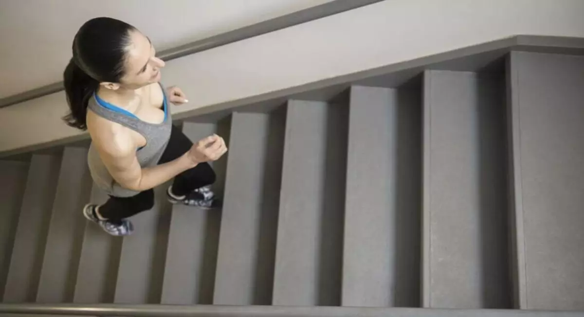 naik-turun-tangga naik-turun-tangga