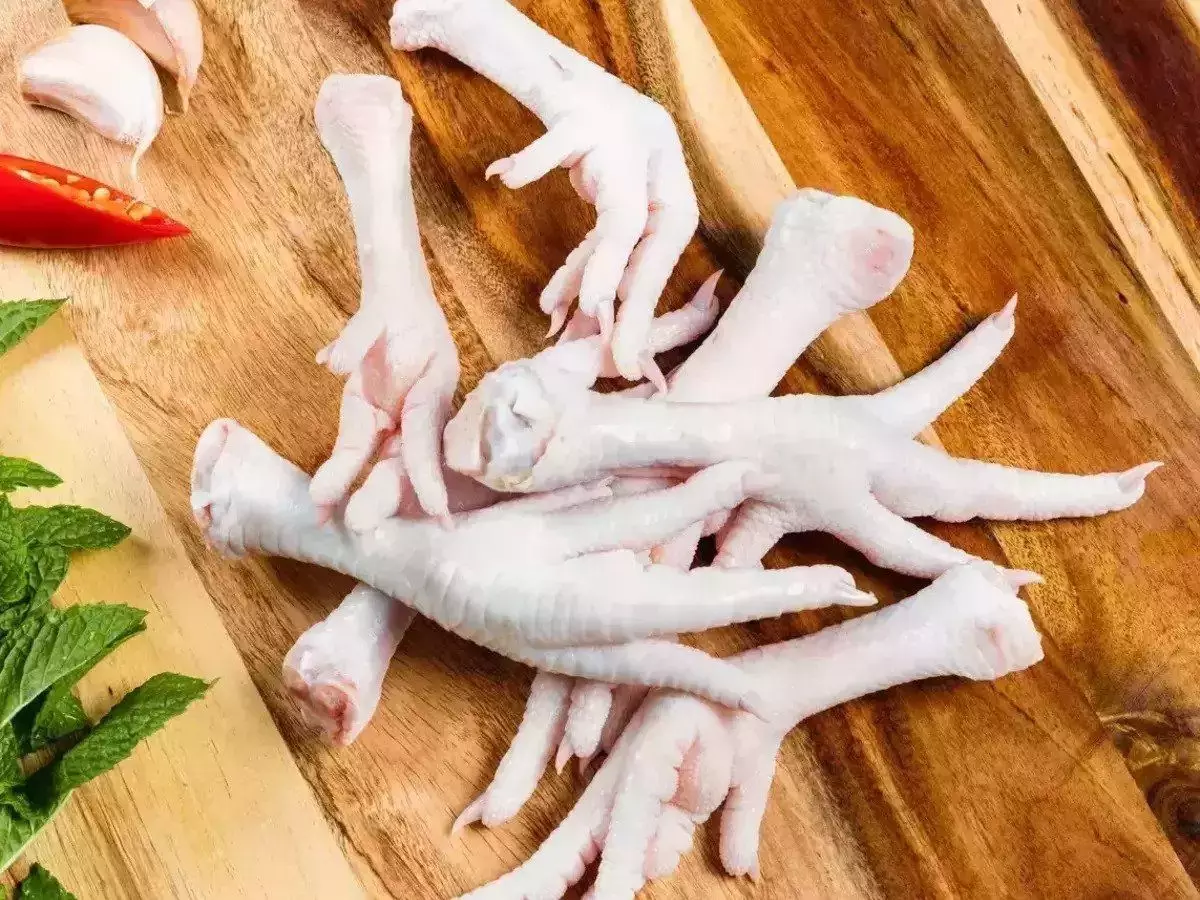 Kaldu ceker merupakan hasil rebusan dari kaki ayam Kaldu ceker merupakan hasil rebusan dari kaki ayam