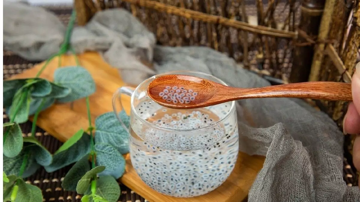 khasiat-chia-seed khasiat-chia-seed