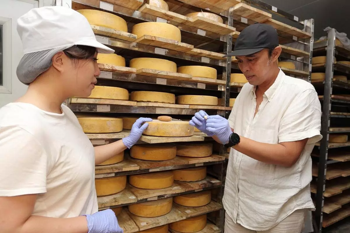 Keju harus disimpan di tempat khusus dengan kelembaban tertentu