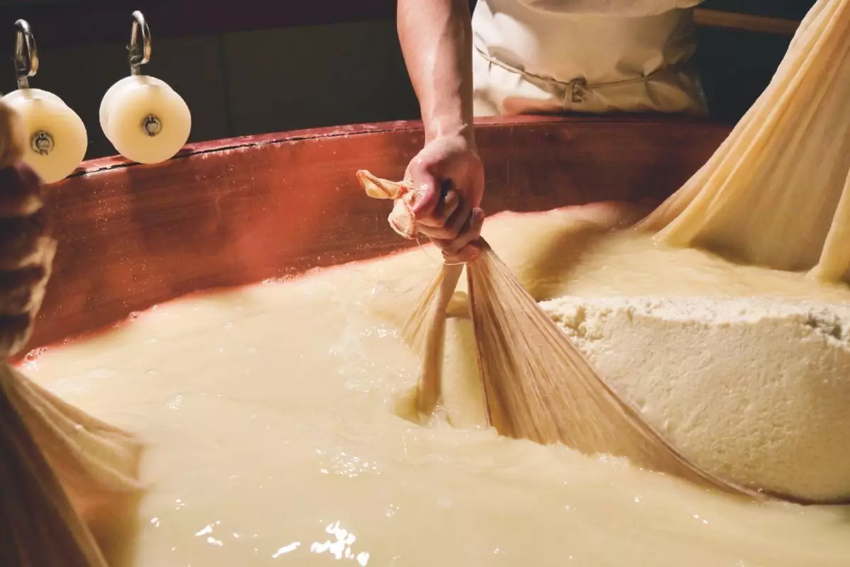 Proses pembuatan curd dan whey dalam proses pembuatan keju