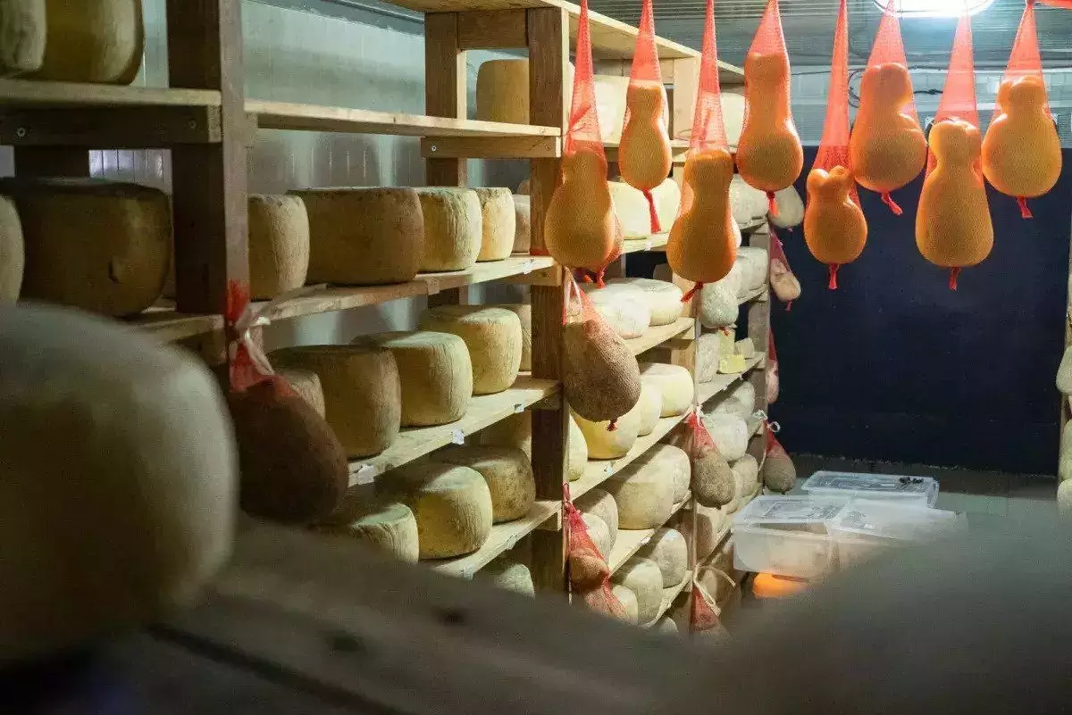 Proses pembuatan keju cukup panjang dan memakan waktu