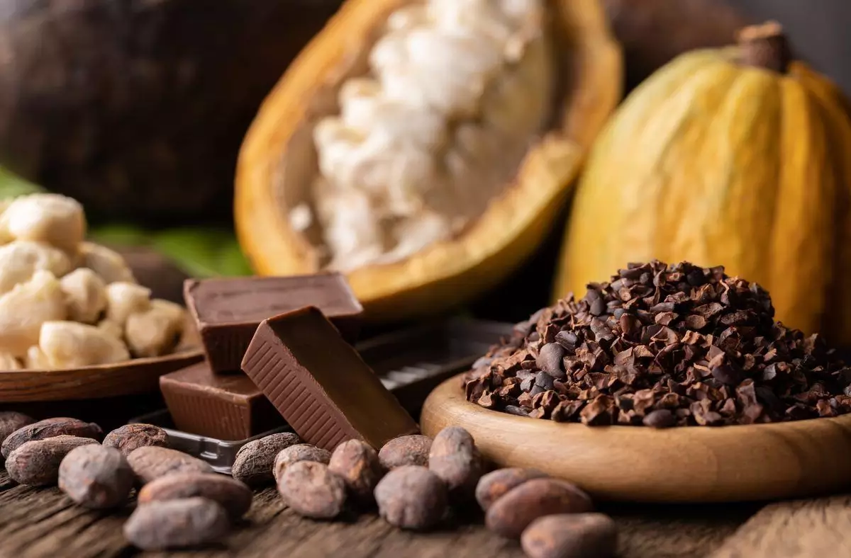 perjalanan dari biji kakao menjadi cokelat membutuhkan proses yang panjang