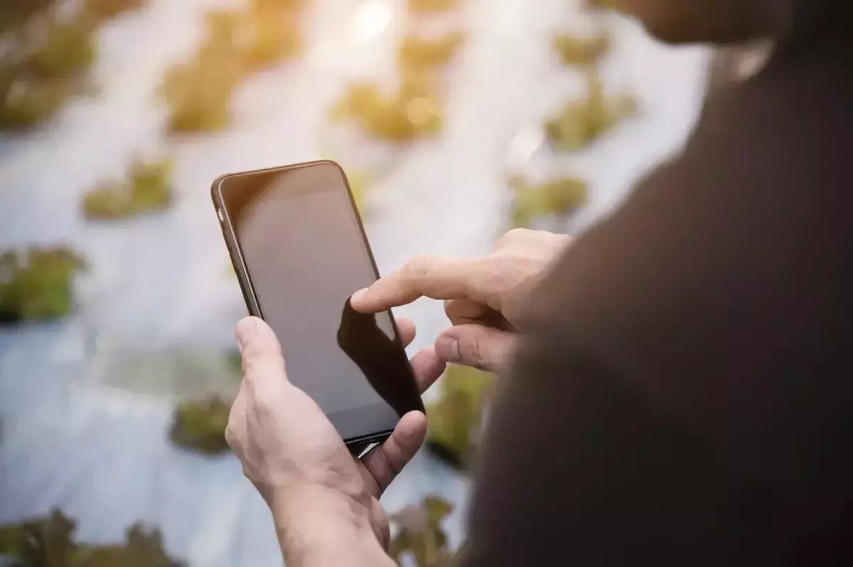 Smartphone bisa dioperasikan jarak jauh Smartphone bisa dioperasikan jarak jauh