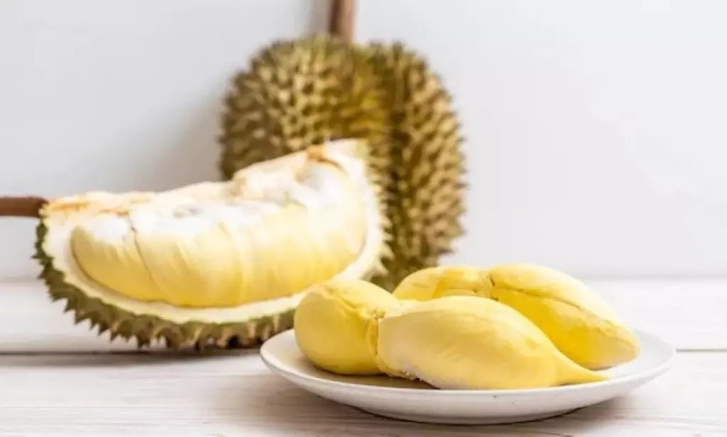 8 Olahan Makanan Berbahan Dasar Buah Durian