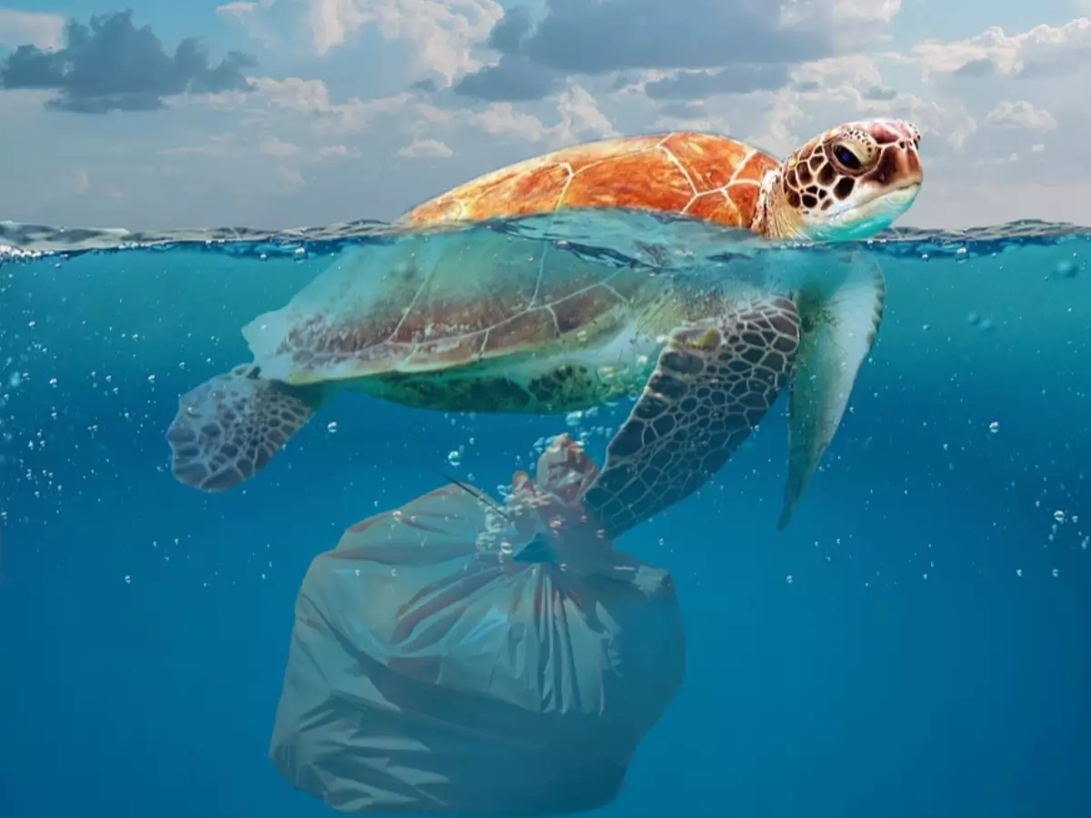 Sampah Plastik A plastic waste on sea