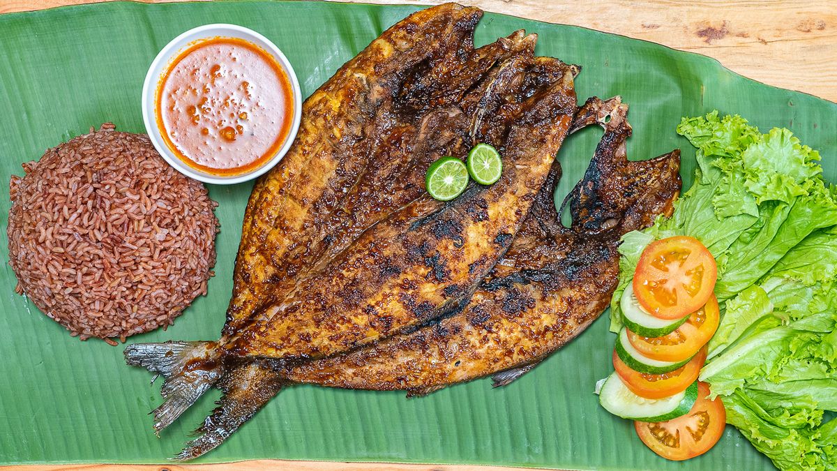 ikan-nasi