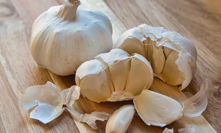 Jangan Dibuang! Ternyata Kulit Bawang Putih Bisa Dijadikan Alternatif Pupuk Tanaman
