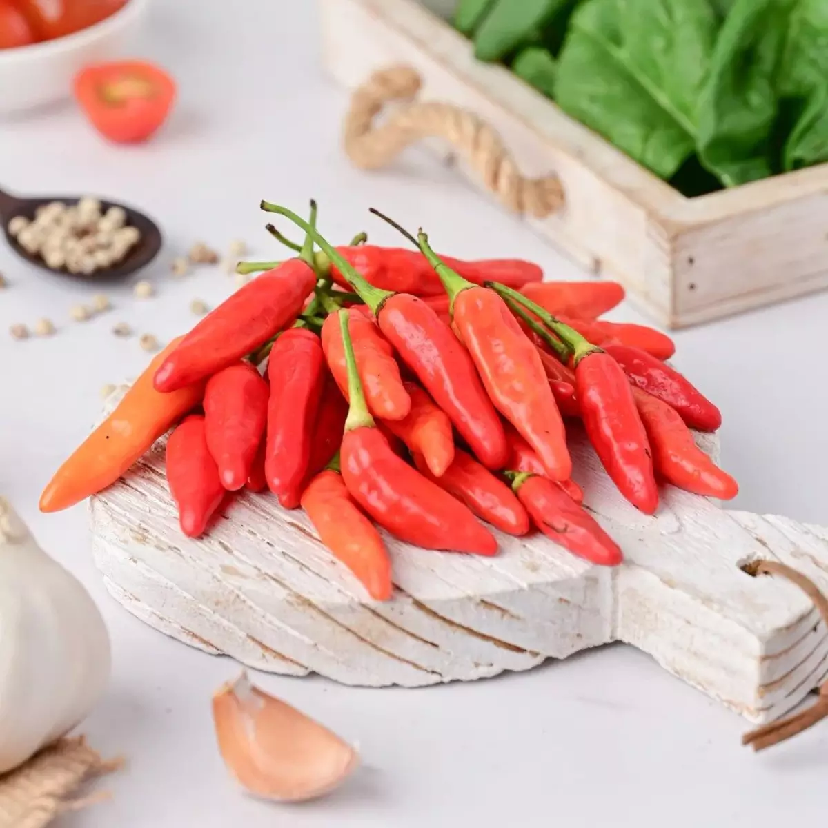 cabai-rawit cabai-rawit