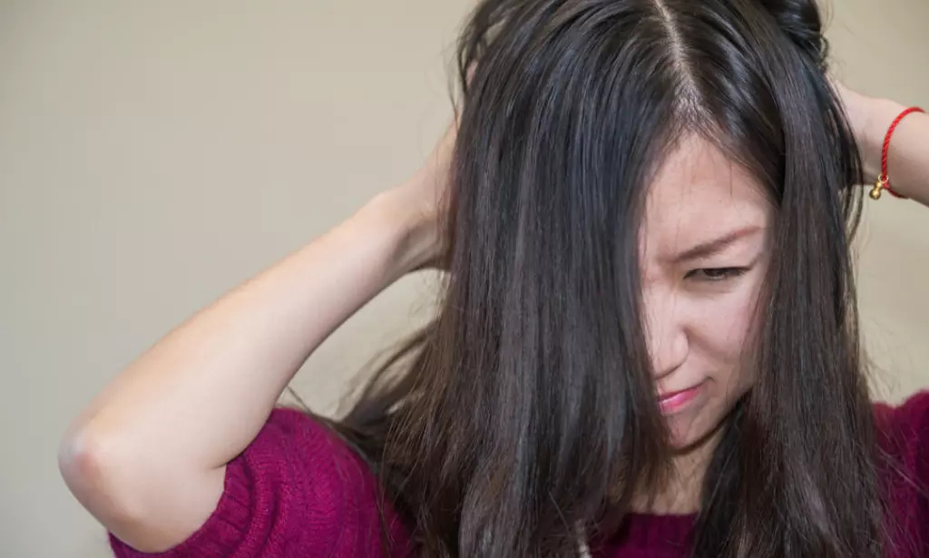 Solusi Efektif Membasmi Kutu Rambut dengan Bahan Alami