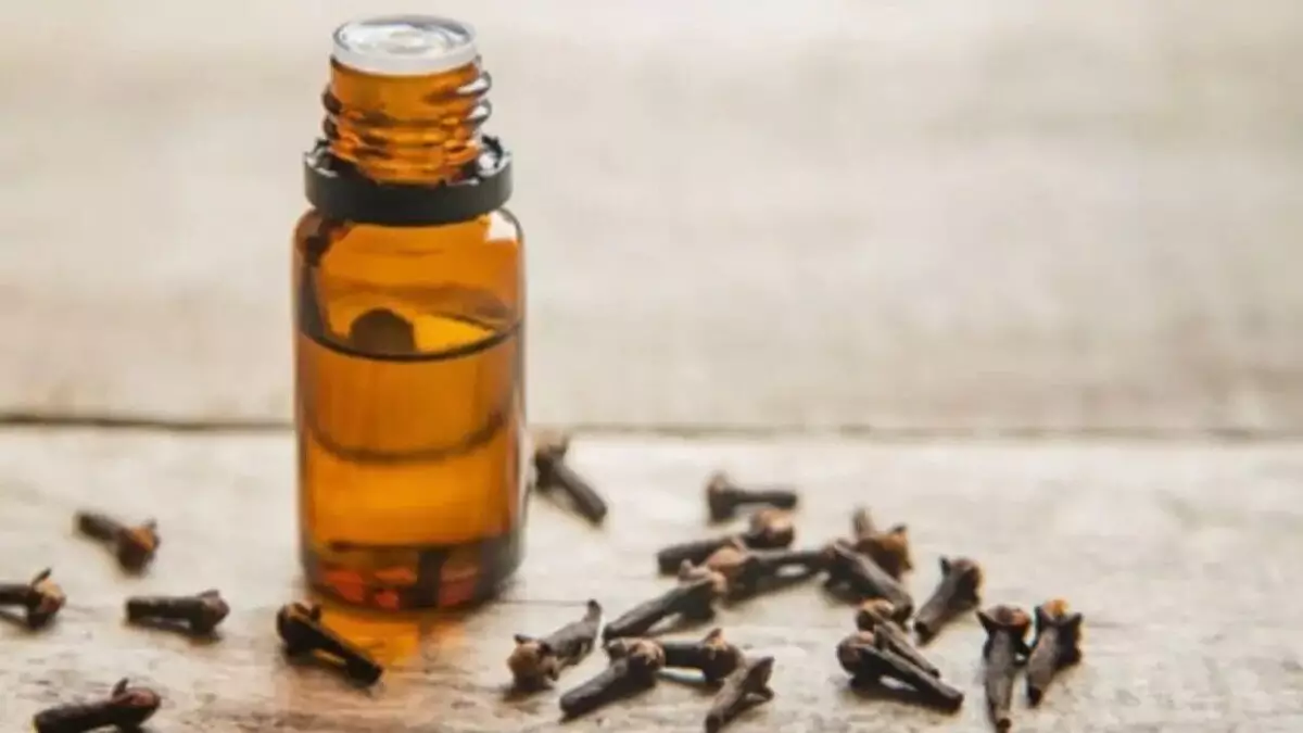 khasiat-minyak-cengkeh