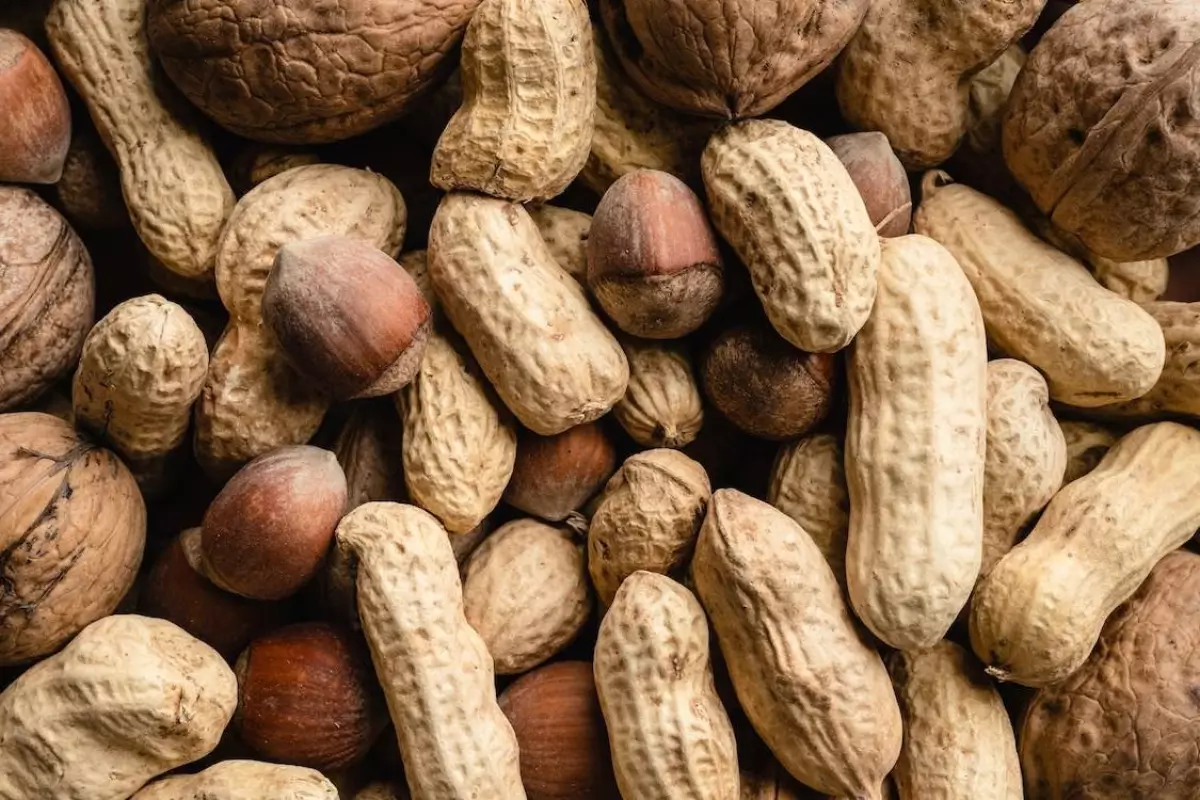 kacang-kacangan kacang-kacangan