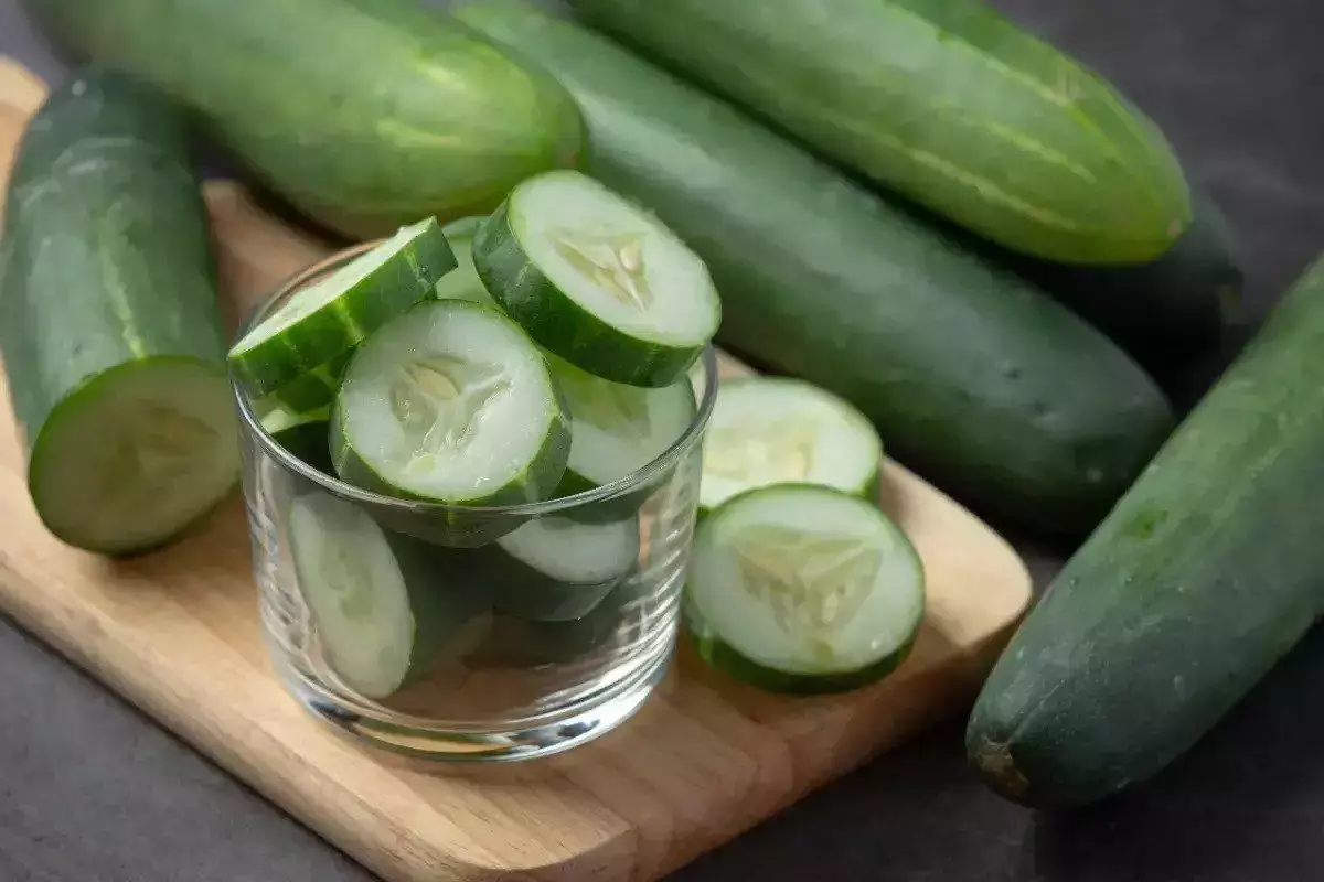 Mentimun untuk Mengusir Semut dari Area Tertentu Mentimun untuk Mengusir Semut dari Area Tertentu