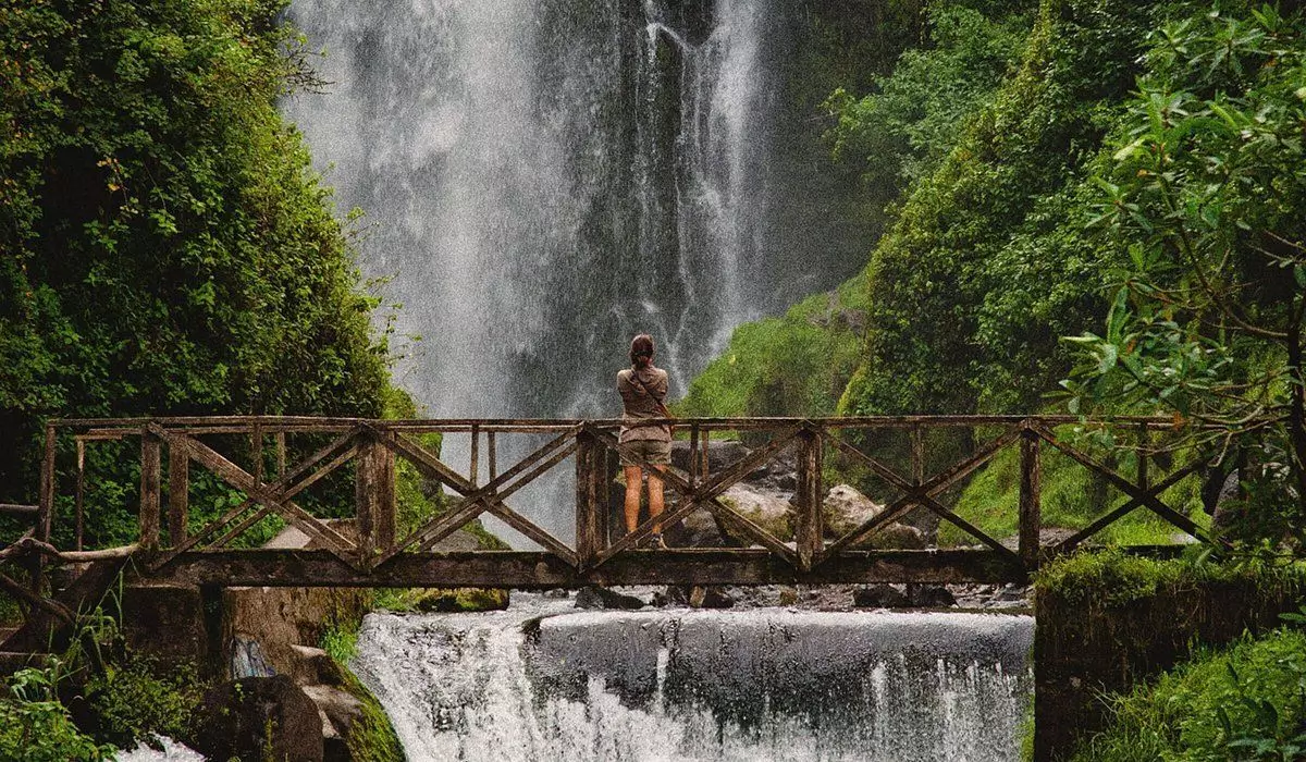 Amazon Rainforest, Brazil Amazon Rainforest, Brazil