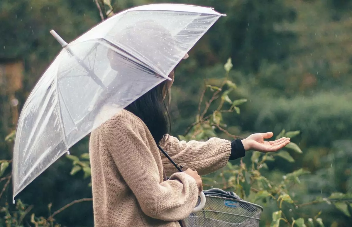 Payung Transparan yang Stylish