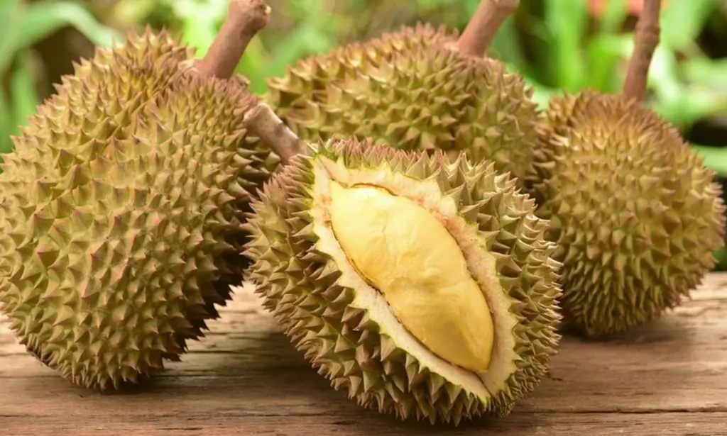 Kombinasi Makanan dan Minuman yang Berbahaya Dikonsumsi Bersamaan dengan Durian