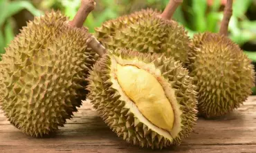 Kombinasi Makanan dan Minuman yang Berbahaya Dikonsumsi Bersamaan dengan Durian