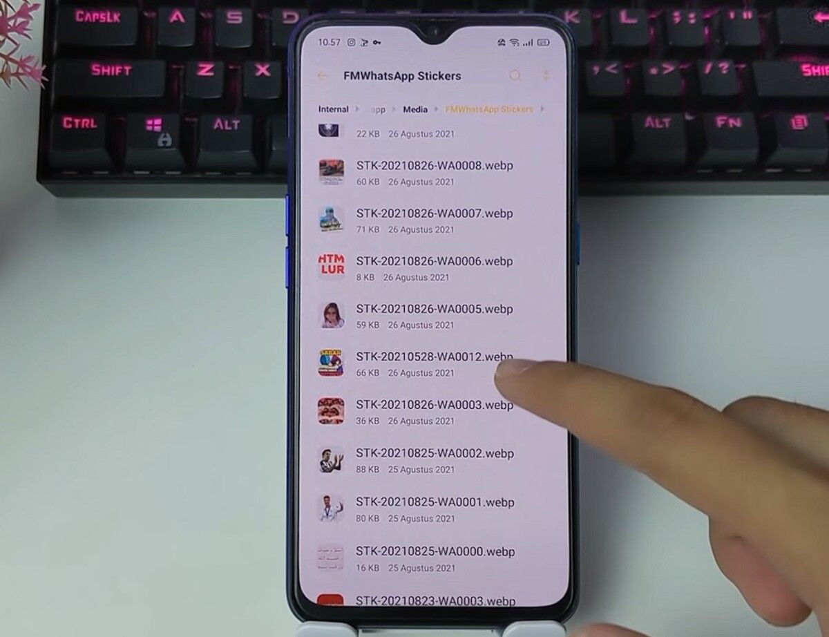 Cara Menghapus Foto dan Video dari WhatsApp dari Galeri Cara Menghapus Foto dan Video dari WhatsApp dari Galeri