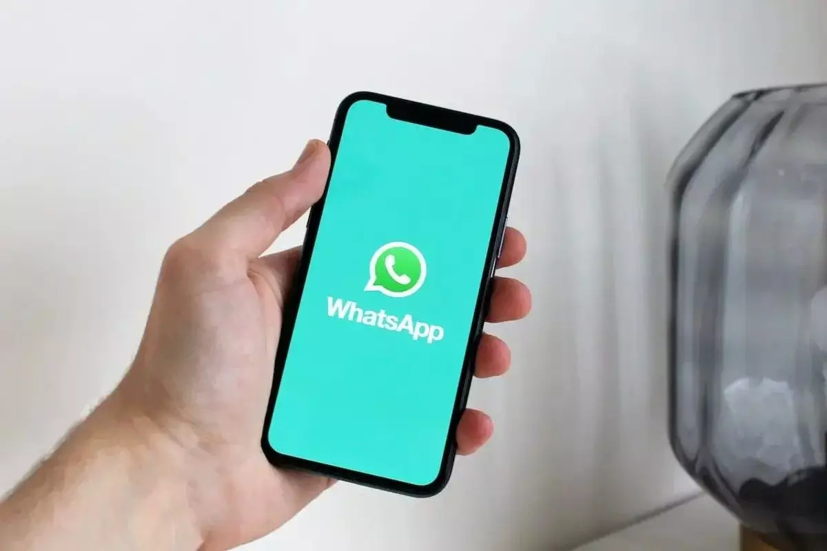 Menghapus Foto dan Video dari WhatsApp secara Spesifik Menghapus Foto dan Video dari WhatsApp secara Spesifik