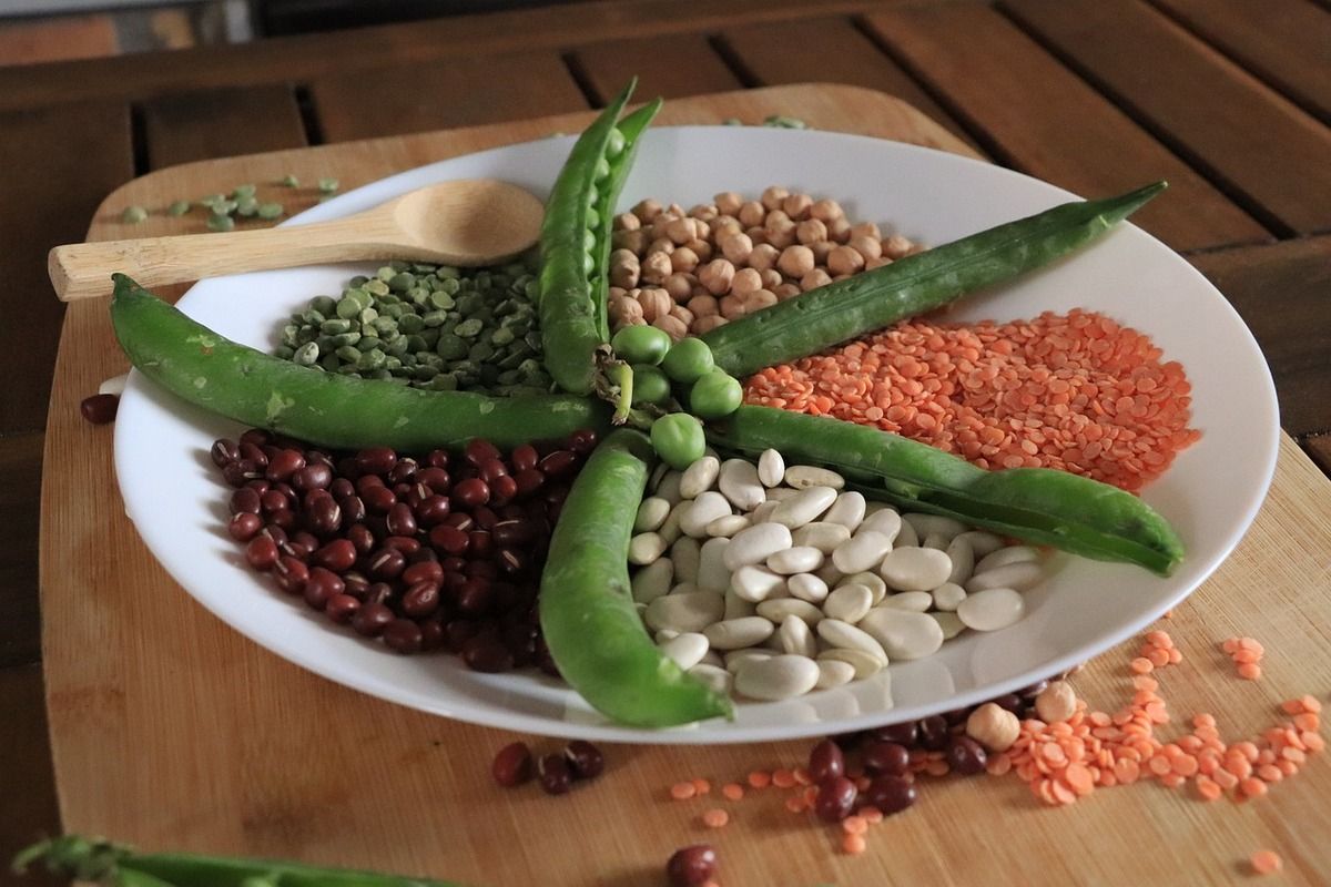 Kacang-kacangan Memiliki Banyak Kandungan Lemak