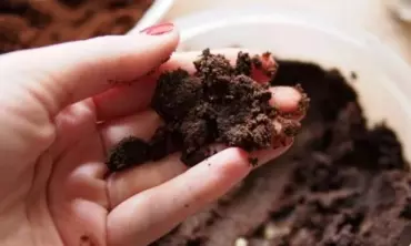 Jangan Buang Ampas Kopi, Ini Segudang Manfaatnya yang Mengejutkan