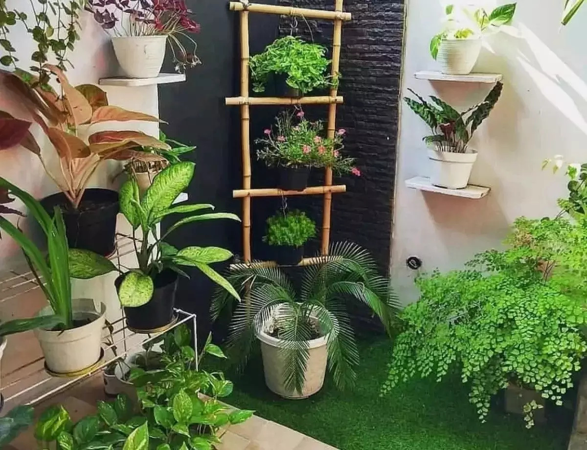 Taman di Sudut Ruangan Taman di Sudut Ruangan